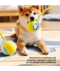Automatic Cat Walking Ball Toy USB Rechargeable | Smart Interactive Pet Toy for Cats & Puppies