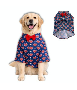 Colorful Embroidered Pet Dress & Vest Set | Ethnic Style Dog Outfit